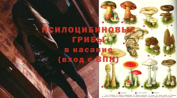 ешки Алзамай