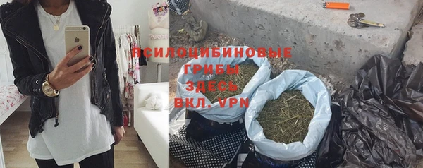 ешки Алзамай
